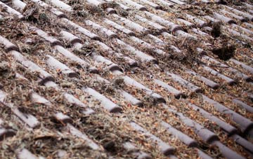 Old Gate roof cleaning companies